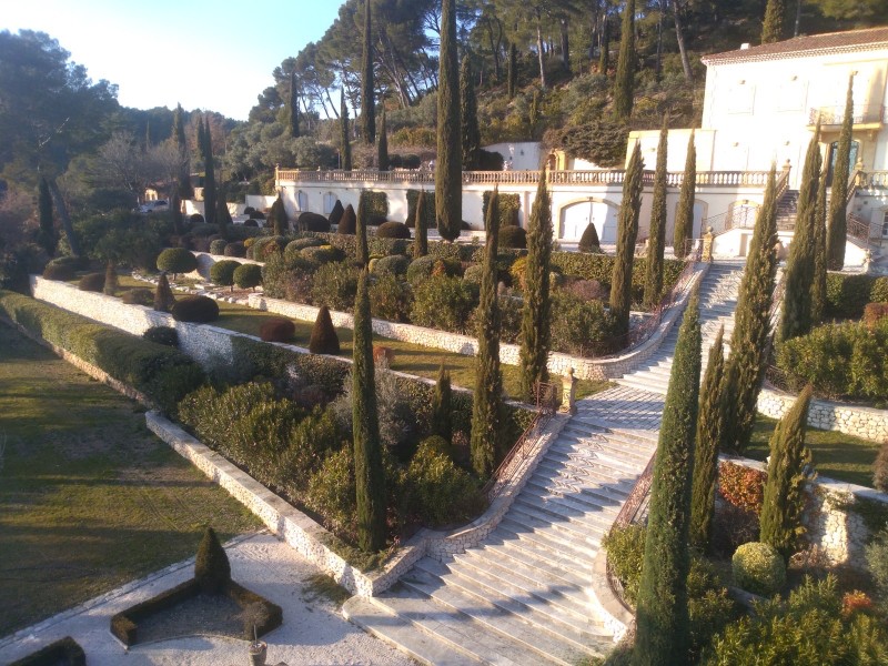 Domaine avec allée de cyprès : Taille et entretien