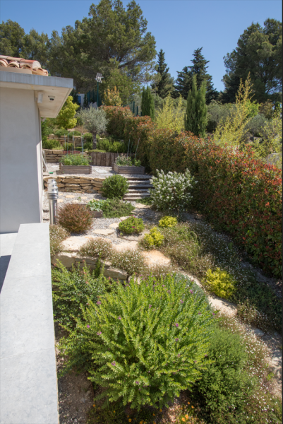 Plantation sur enrochement dans le Var
