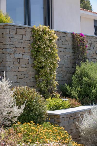 Mur de parement et plantation de plantes grimpantes pour recouvrement à Solliès 