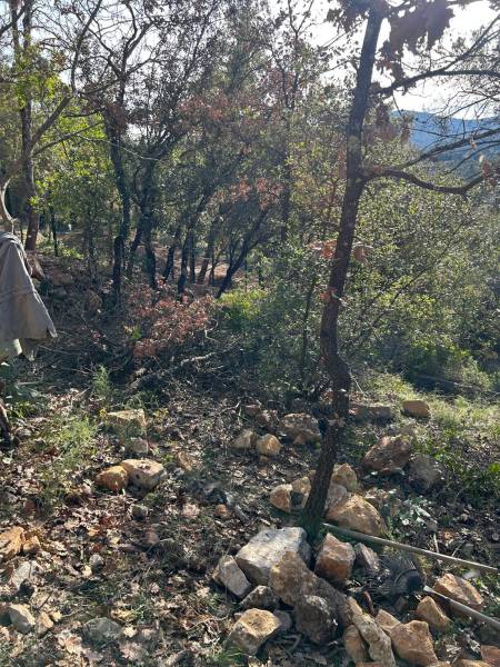 TP – Réseau Terrassement Paysage est votre partenaire de confiance pour le débroussaillage, l’élagage et l’abattage