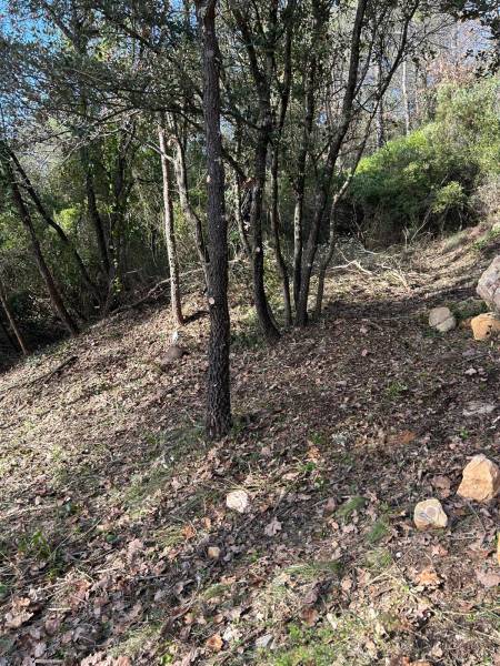 Débroussaillage et normes OLD dans le Var : sécurisez votre terrain dès maintenant
