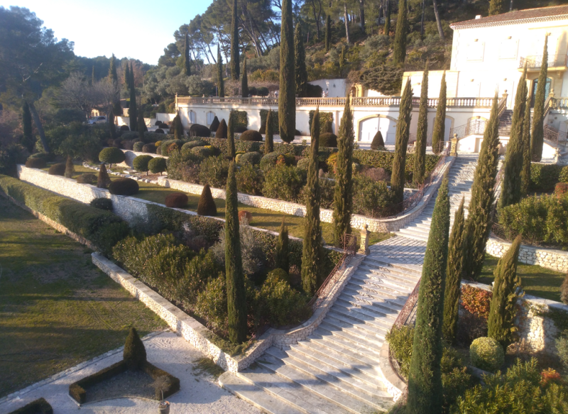 Elagage de cyprès avec nacelle dans le Var 83