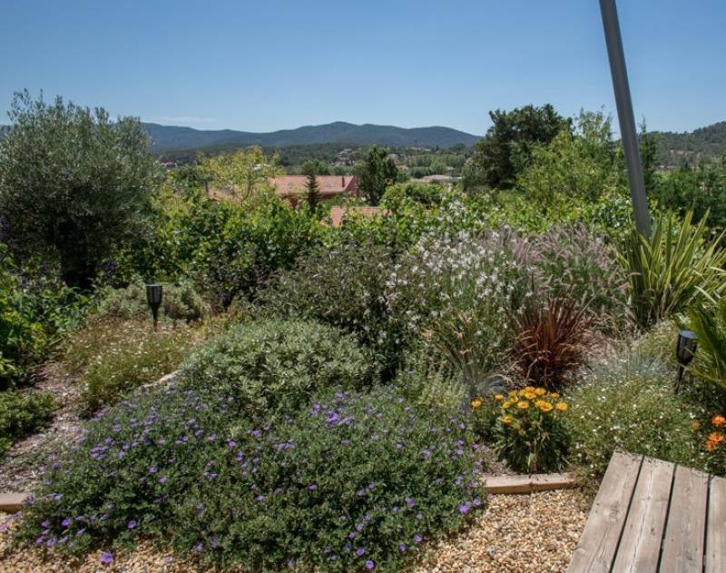 Comment mettre en valeur un olivier  avec un massif de fleur dans un jardin à Solliès dans le var
