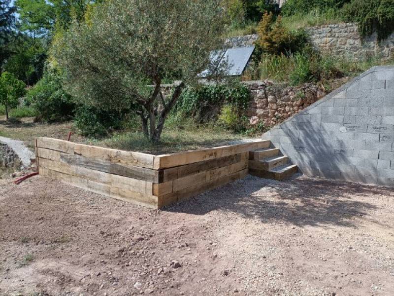 Olivier l'arbre emblématique du Sud: Créez un jardin méditerranéen sur la Côte d'Azur à Hyères dans le Var