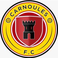 FC Carnoules : un club emblématique soutenu par RTP - Réseau Terrassement Paysage Carnoules